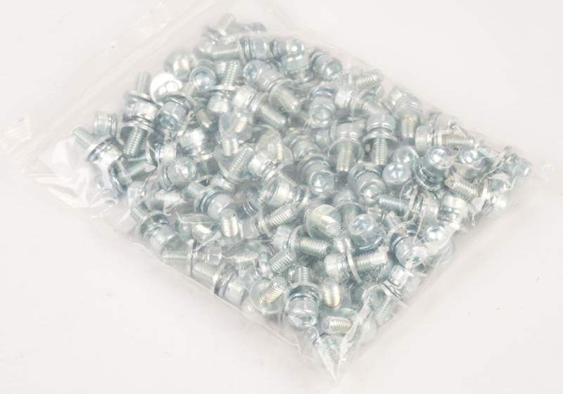 SEGWAY Schrauben ES1LD (Original)