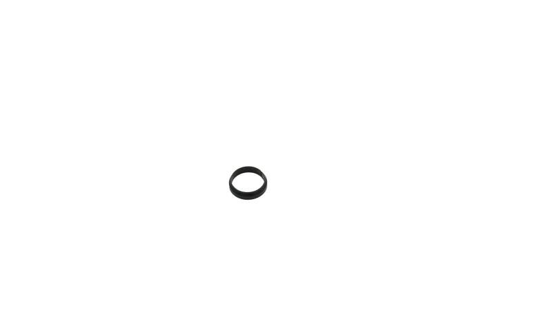 SEGWAY F3 D Anillos de Seguridad para Cojinetes (originale)