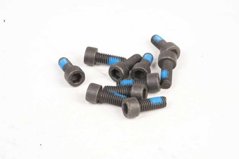 SEGWAY INNENSECHSKANTSCHRAUBEN M6X16 KOHLENSTOFFSTAHL P65D (Original)