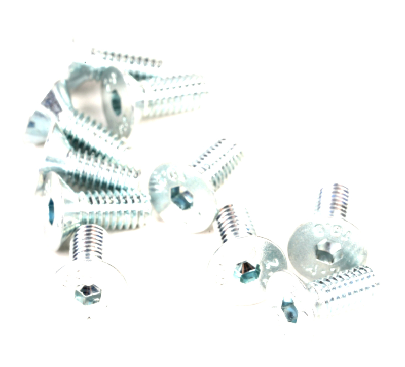 SEGWAY Schraube 4*10 F65D (Original)