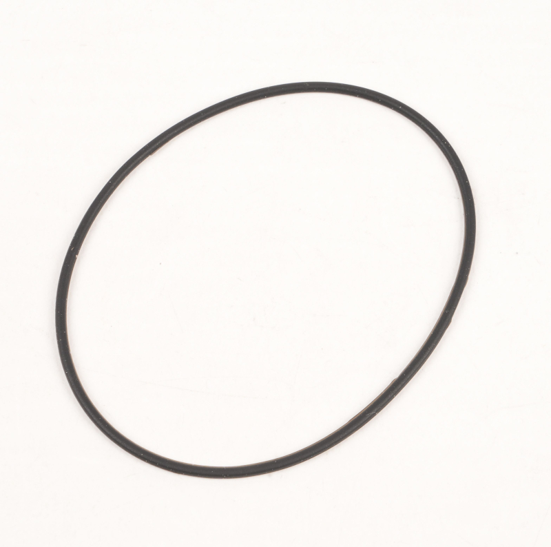 SEGWAY Instrumentenanschluss Dichtungsring E3 D (Original)