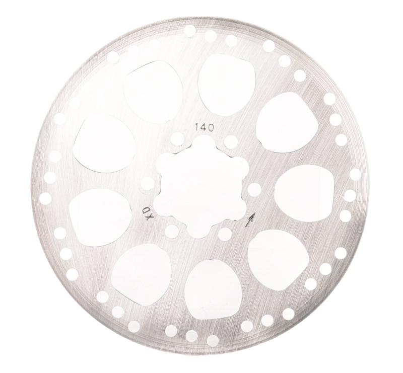 SEGWAY Bremsscheibe F30D (Original)