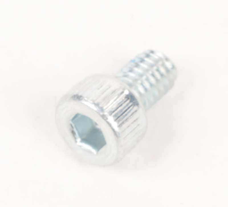 SEGWAY Schraube 4*8 F2D (Original)