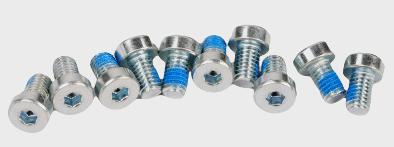 SEGWAY Schraube 5*8 F20D (Original)