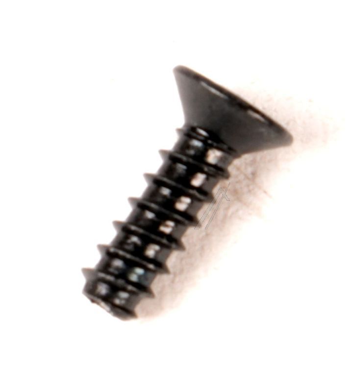 SEGWAY F2 D II Schraube 2,9 × 9,5 mm (Original)