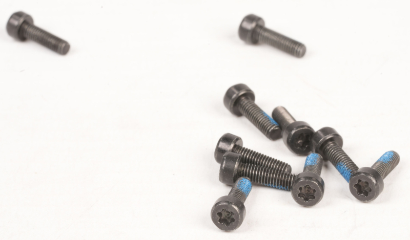 SEGWAY Schraube 3*10 GT1 D (Original)