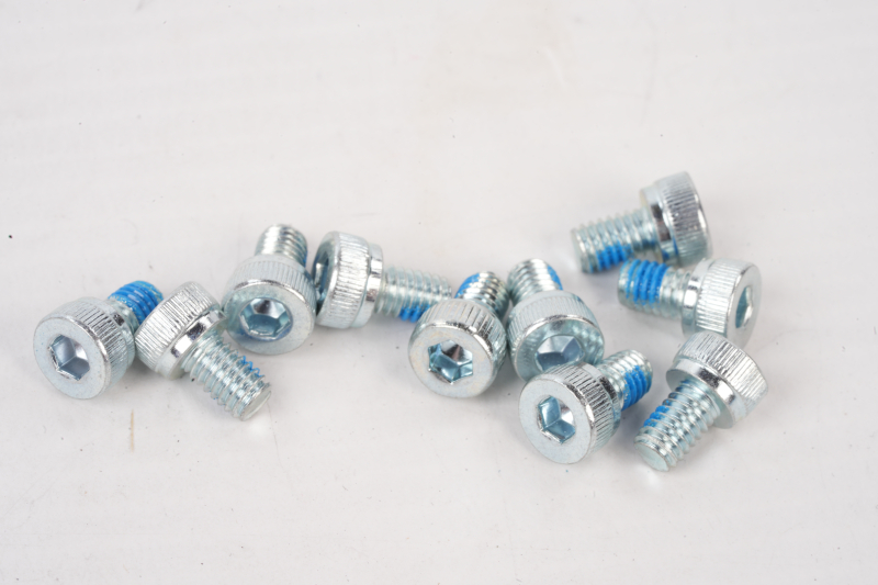 SEGWAY Schrauben 4*6 MAX G2 D (Original)