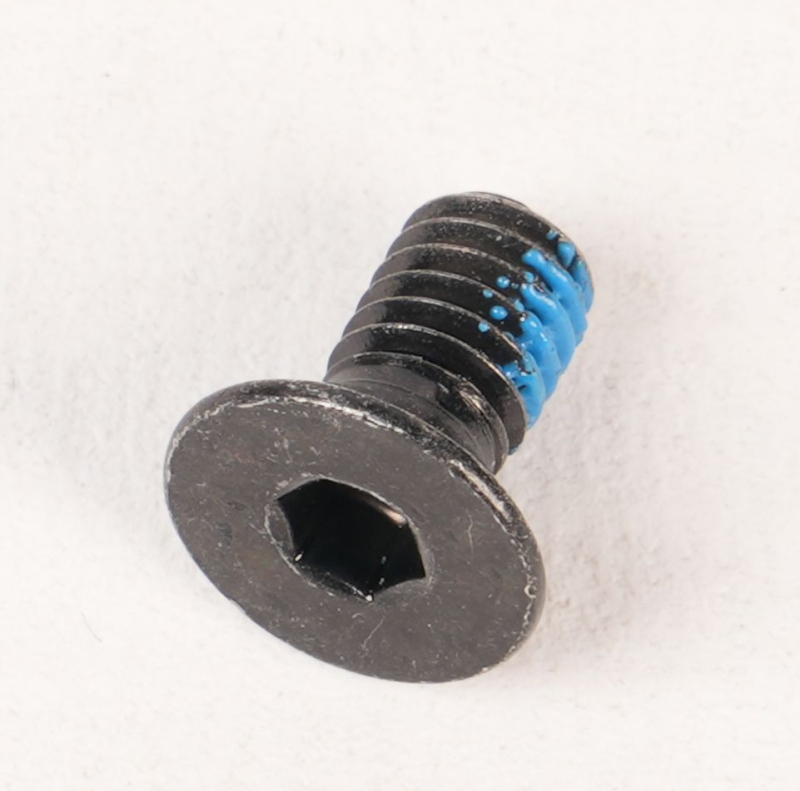 SEGWAY Schraube M4X8 E3 D (Original)