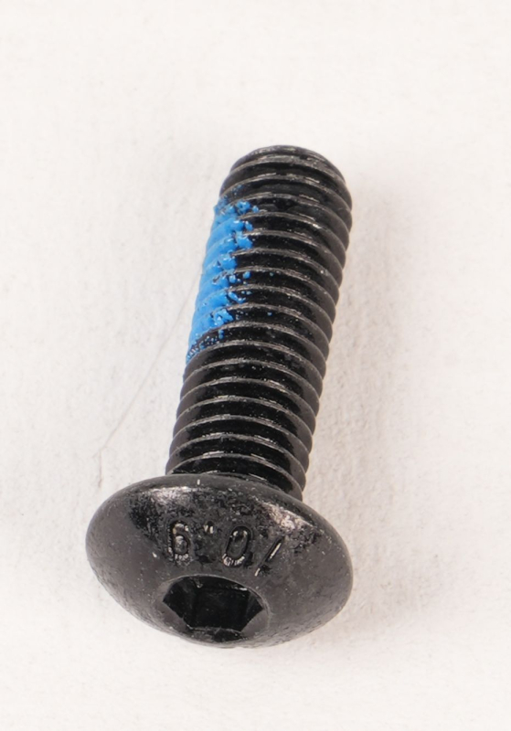 SEGWAY Schraube M5X16 E3 PRO D (Original)