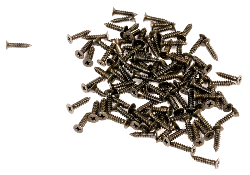 SEGWAY Schrauben ES1LD (Original)