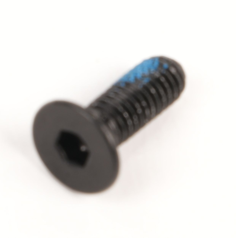 SEGWAY Schraube M4X12 GT1 D (Original)