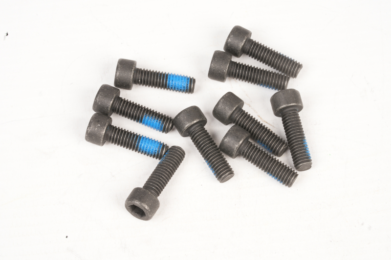 SEGWAY INNENSECHSKANTSCHRAUBE M6×20 KOHLENSTOFFSTAHL E2 D II (Original)