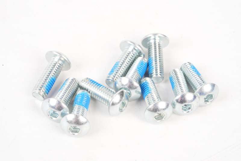 SEGWAY Schrauben MAX G30D Audi (Original)