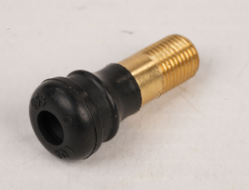 SEGWAY Ventil für schlauchlosen Mantel F2D (Original)