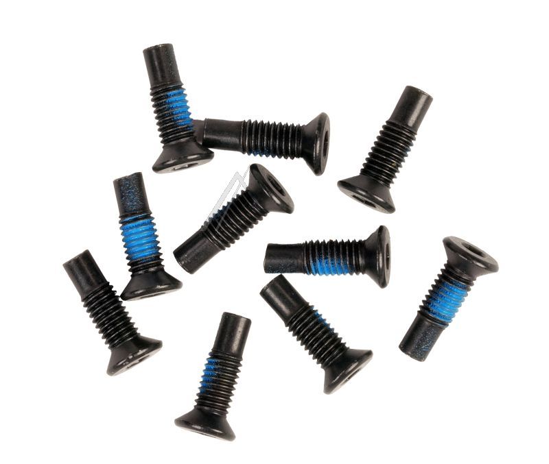 SEGWAY F2 PRO D Tornillos del manillar M5×16 (originale)