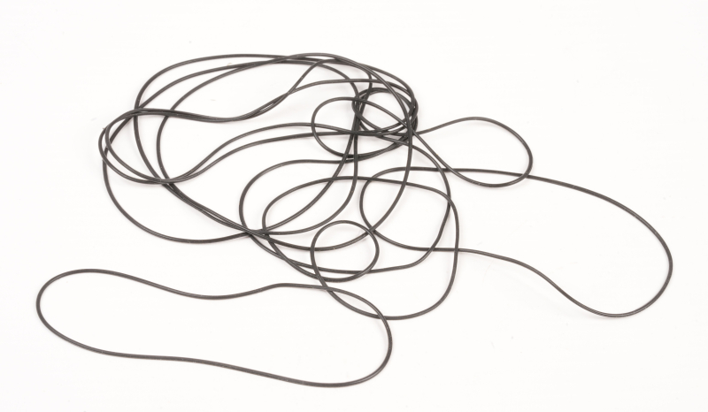 SEGWAY Dichtungsring F20D (Original)